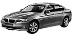 BMW F10 U3959 Fault Code